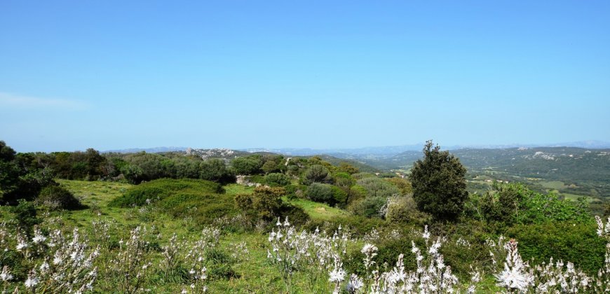 Fabolous 2,3 Ha Land and 350 M2 Farmhouse for Sale in Luogosanto 20 Km from the Beach, North East Sardinia