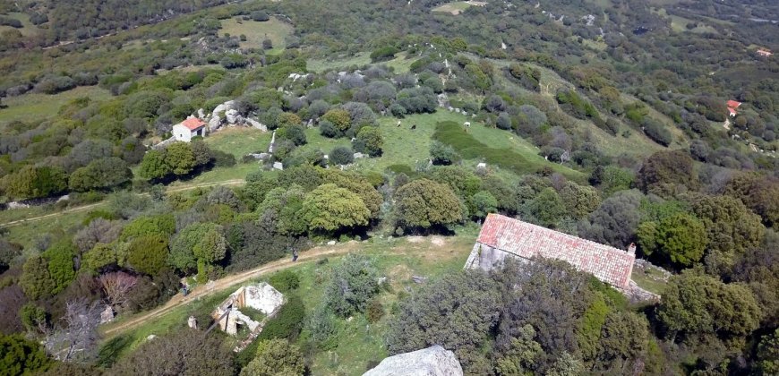 Fabolous 2,3 Ha Land and 350 M2 Farmhouse for Sale in Luogosanto 20 Km from the Beach, North East Sardinia