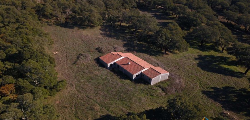 Unfinished 220 M2 Detached Home and 2,3 Ha Land for Sale in Calangianus, North East Sardinia