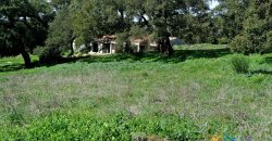 Unfinished 220 M2 Detached Home and 2,3 Ha Land for Sale in Calangianus, North East Sardinia