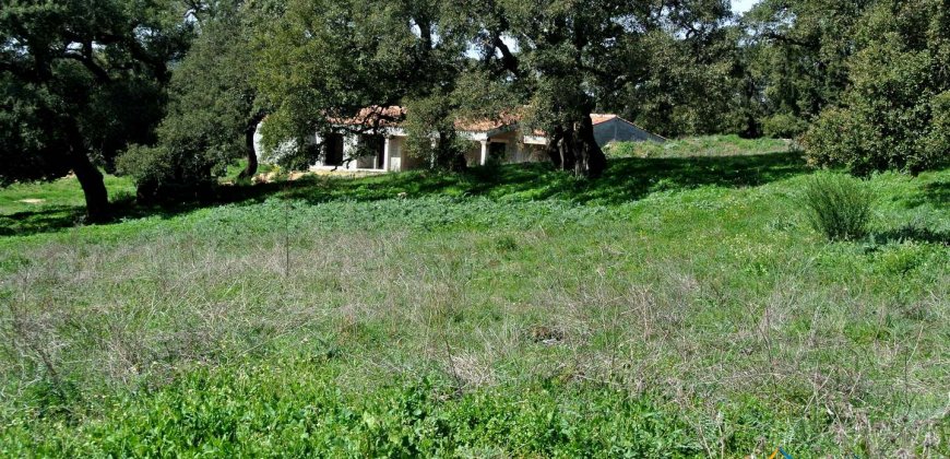 Unfinished 220 M2 Detached Home and 2,3 Ha Land for Sale in Calangianus, North East Sardinia