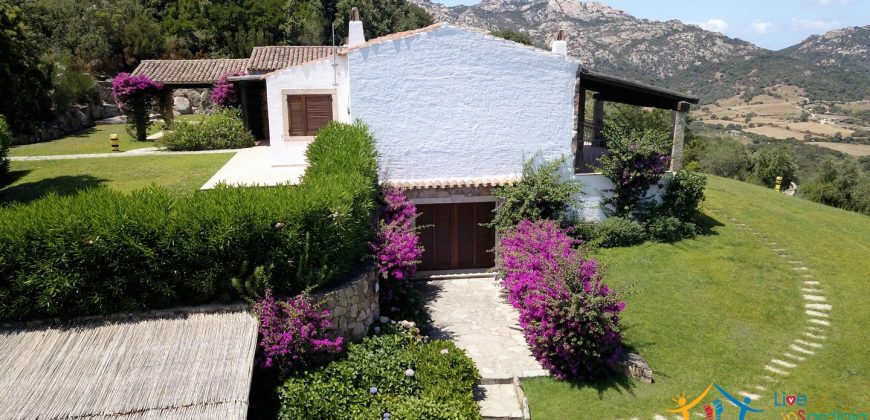 Fabulous Sardinia Villas For Sale Near Palau Cannigione Ref Lignamu
