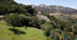 Fabulous Sardinia Villas For Sale Near Palau Cannigione Ref Lignamu