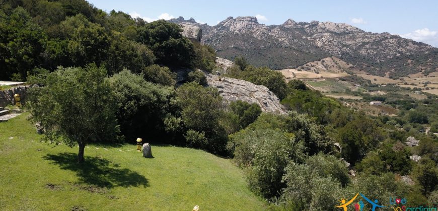 Fabulous Sardinia Villas For Sale Near Palau Cannigione Ref Lignamu