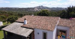 Fabulous Sardinia Villas For Sale Near Palau Cannigione Ref Lignamu