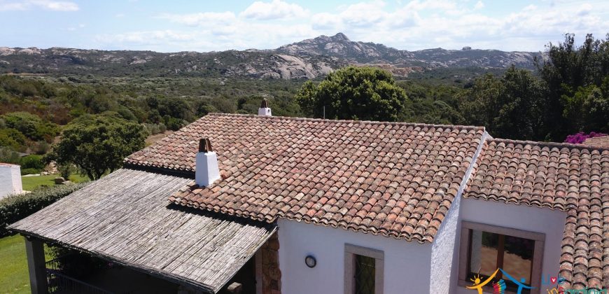 Fabulous Sardinia Villas For Sale Near Palau Cannigione Ref Lignamu
