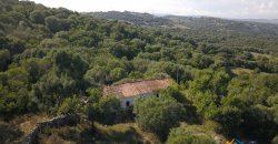 Country Home To Be Restored For Sale In Luogosanto Northern Sardinia