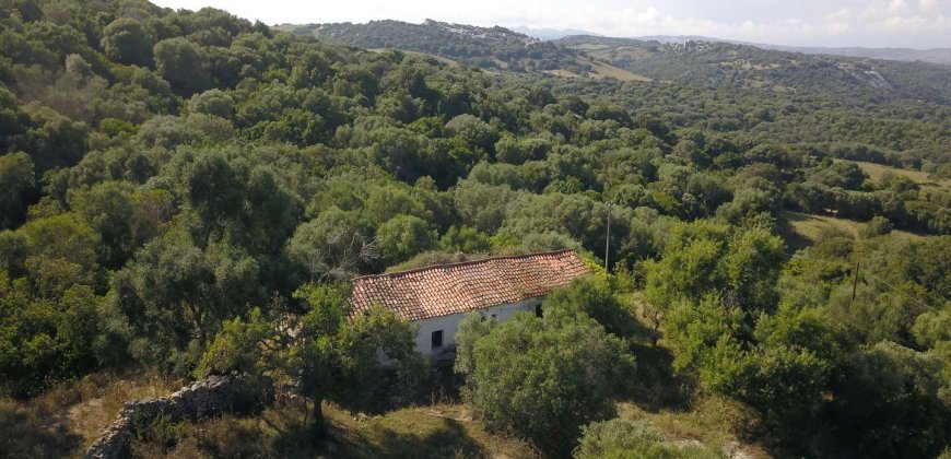 Country Home To Be Restored For Sale In Luogosanto Northern Sardinia