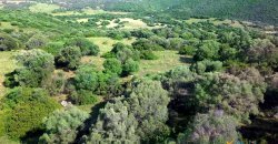 3 Bed Rural Home and 5ha Park for Sale in San Pantaleo, North Sardinia