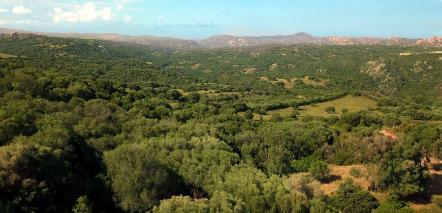 Country Home To Be Restored For Sale In Luogosanto Northern Sardinia