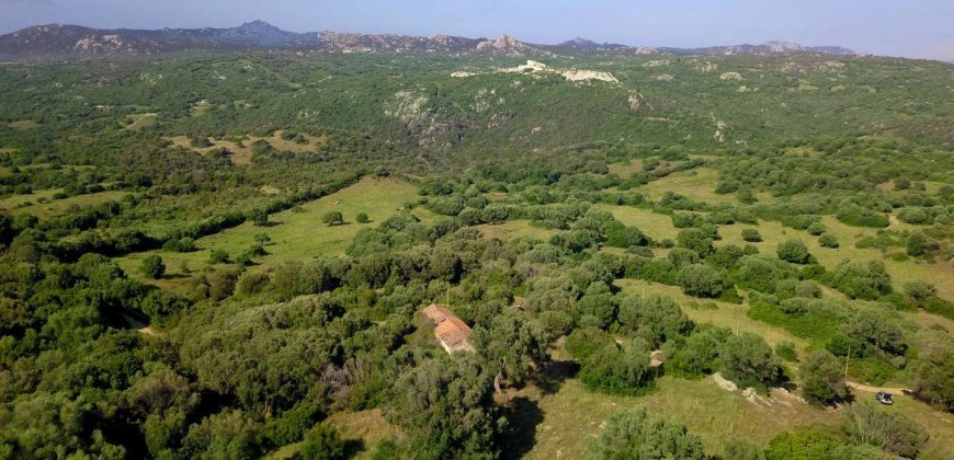 Country Home To Be Restored For Sale In Luogosanto Northern Sardinia