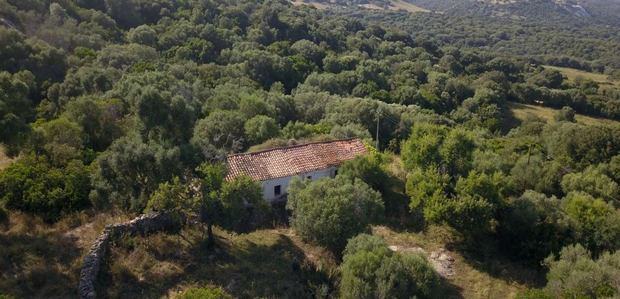 Country Home To Be Restored For Sale In Luogosanto Northern Sardinia