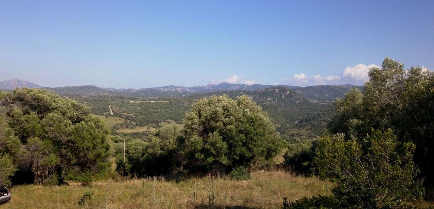 Country Home To Be Restored For Sale In Luogosanto Northern Sardinia