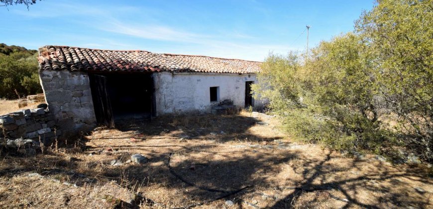 Country Home To Be Restored For Sale In Luogosanto Northern Sardinia