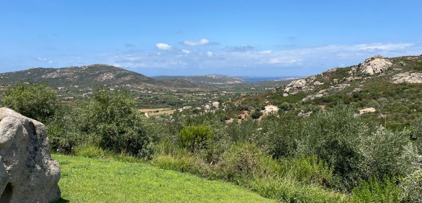 Magnificent Villas With Large Land and Sea Views for Sale Near Palau, Northern Sardinia