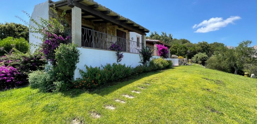 Fabulous Sardinia Villas For Sale Near Palau Cannigione Ref Lignamu