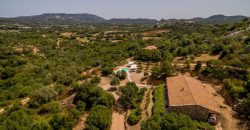 Villa for Sale San Pantaleo Sardinia ref Litarrirui