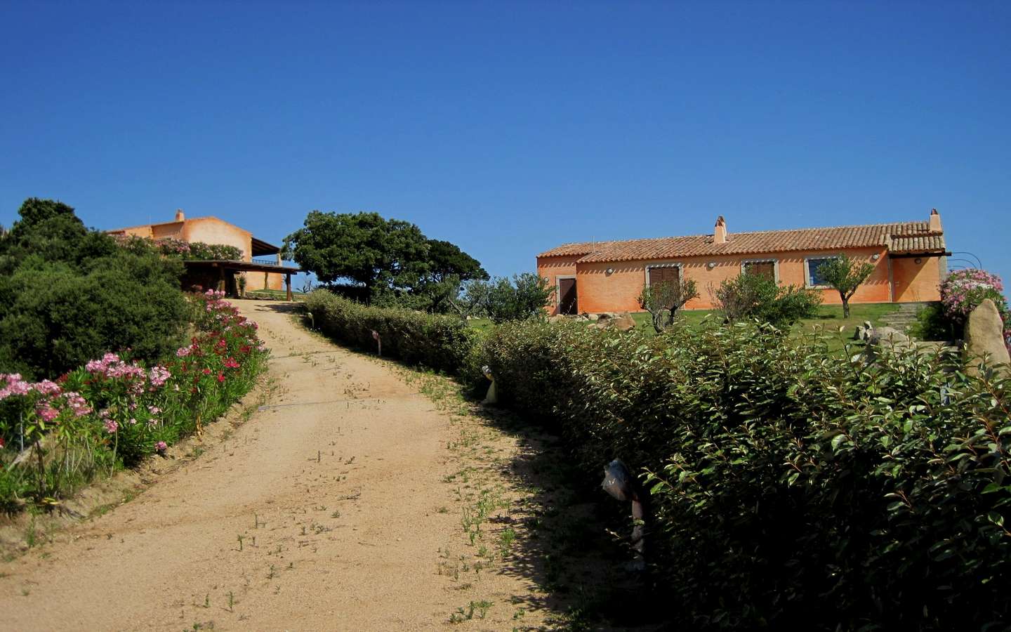 Top Properties in Sardinia, Houses, & Apartments For Sale - Sardinia, Italy
