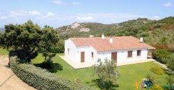 Fabulous Sardinia Villas For Sale Near Palau Cannigione Ref Lignamu