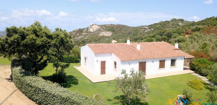 Magnificent Villas With Large Land and Sea Views for Sale Near Palau, Northern Sardinia