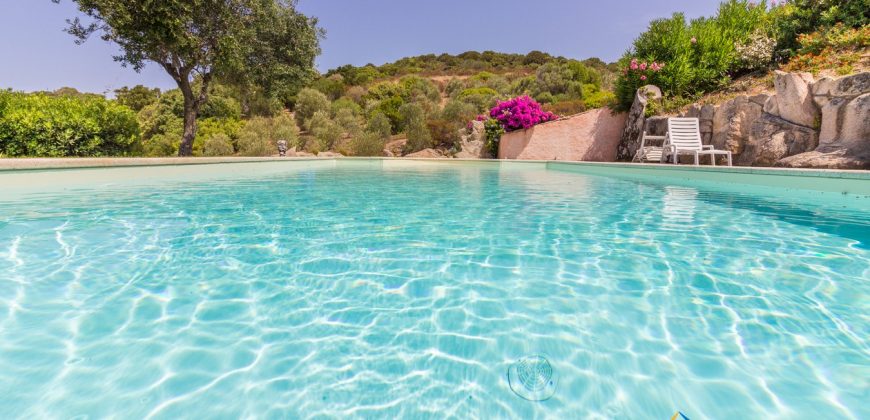 Fabulous Sardinia Villas For Sale Near Palau Cannigione Ref Lignamu