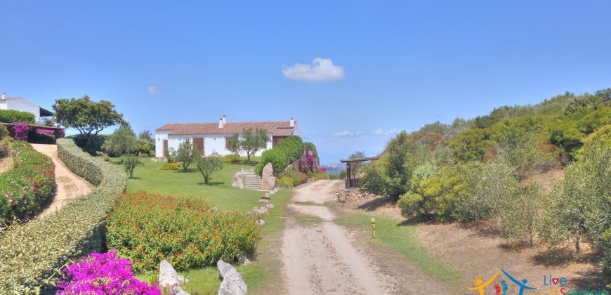 Magnificent Villas With Large Land and Sea Views for Sale Near Palau, Northern Sardinia