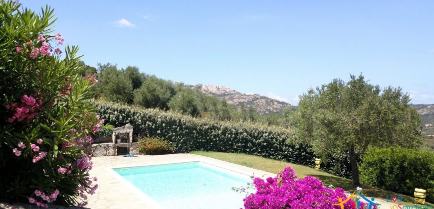 Fabulous Sardinia Villas For Sale Near Palau Cannigione Ref Lignamu