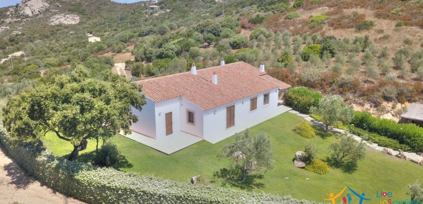 Magnificent Villas With Large Land and Sea Views for Sale Near Palau, Northern Sardinia