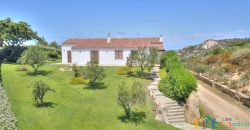 Magnificent Villas With Large Land and Sea Views for Sale Near Palau, Northern Sardinia