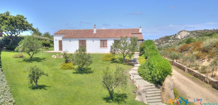 Magnificent Villas With Large Land and Sea Views for Sale Near Palau, Northern Sardinia