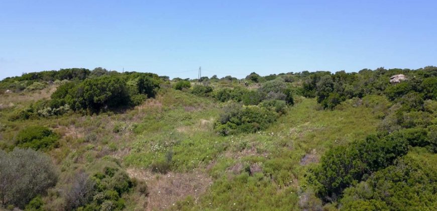 2,7 Ha Buildable Land for Sale Near the Sea in Aglientu, North Sardinia