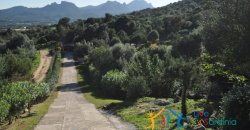 Refined Country Style Villa With 15000 M2 Land for Sale in  Costa Smeralda, North East Sardinia