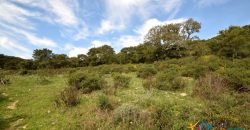 Fabolous 10 Ha Land and 86 M2 Farmhouse for Sale in Luogosanto 23 Km from Arzachena North Sardinia