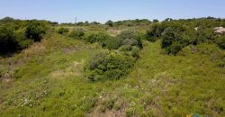 2,7 Ha Buildable Land for Sale Near the Sea in Aglientu, North Sardinia