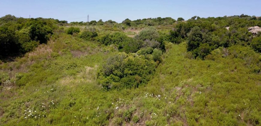 2,7 Ha Buildable Land for Sale Near the Sea in Aglientu, North Sardinia