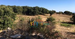 Fabolous 10 Ha Land and 86 M2 Farmhouse for Sale in Luogosanto 23 Km from Arzachena North Sardinia