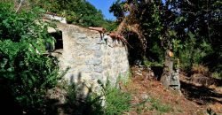 3,6 Ha Land and 280 M2 Farmhouse for Sale in Medieval Luogosanto, 20 Km from the Sea, North  Sardinia