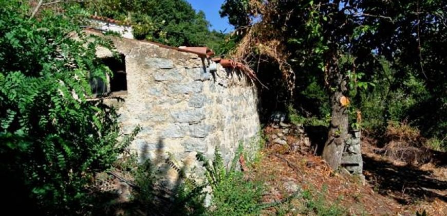 3,6 Ha Land and 280 M2 Farmhouse for Sale in Medieval Luogosanto, 20 Km from the Sea, North  Sardinia