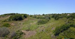 2,7 Ha Buildable Land for Sale Near the Sea in Aglientu, North Sardinia