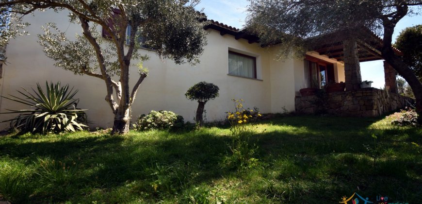 Cosy House For Sale In Porto Rotondo, 10 Km From Olbia, North Sardinia