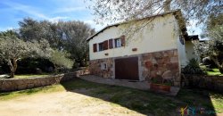 Cosy House For Sale In Porto Rotondo, 10 Km From Olbia, North Sardinia