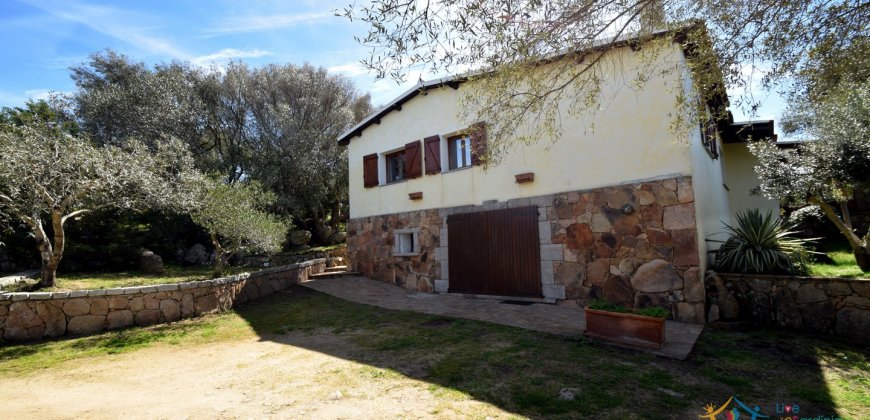 Cosy House For Sale In Porto Rotondo, 10 Km From Olbia, North Sardinia