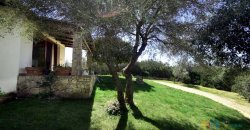 Cosy House For Sale In Porto Rotondo, 10 Km From Olbia, North Sardinia