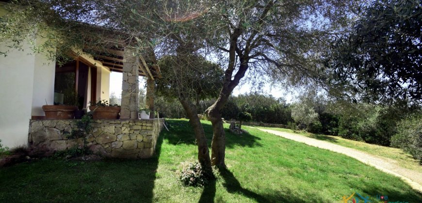 Cosy House For Sale In Porto Rotondo, 10 Km From Olbia, North Sardinia