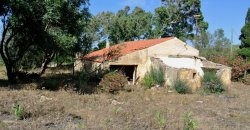 5600 M2 Land and 167 M2 Farmhouse for Sale in Aglientu, 6 Km from the Sea, Northern Sardinia