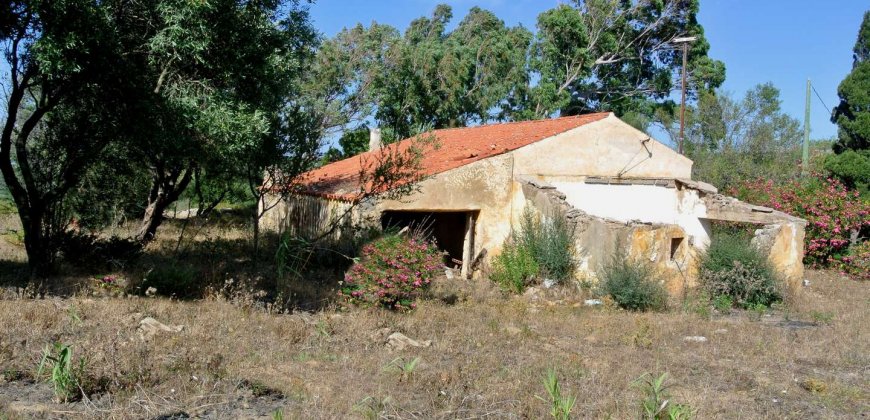 5600 M2 Land and 167 M2 Farmhouse for Sale in Aglientu, 6 Km from the Sea, Northern Sardinia