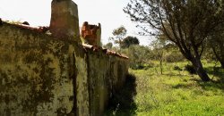 5600 M2 Land and 167 M2 Farmhouse for Sale in Aglientu, 6 Km from the Sea, Northern Sardinia