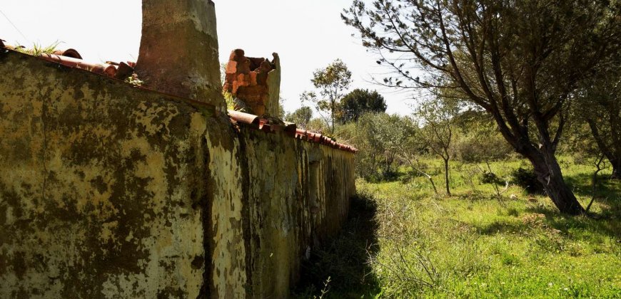 5600 M2 Land and 167 M2 Farmhouse for Sale in Aglientu, 6 Km from the Sea, Northern Sardinia