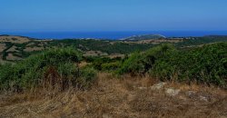 5600 M2 Land and 167 M2 Farmhouse for Sale in Aglientu, 6 Km from the Sea, Northern Sardinia