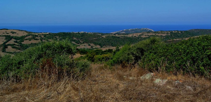 5600 M2 Land and 167 M2 Farmhouse for Sale in Aglientu, 6 Km from the Sea, Northern Sardinia